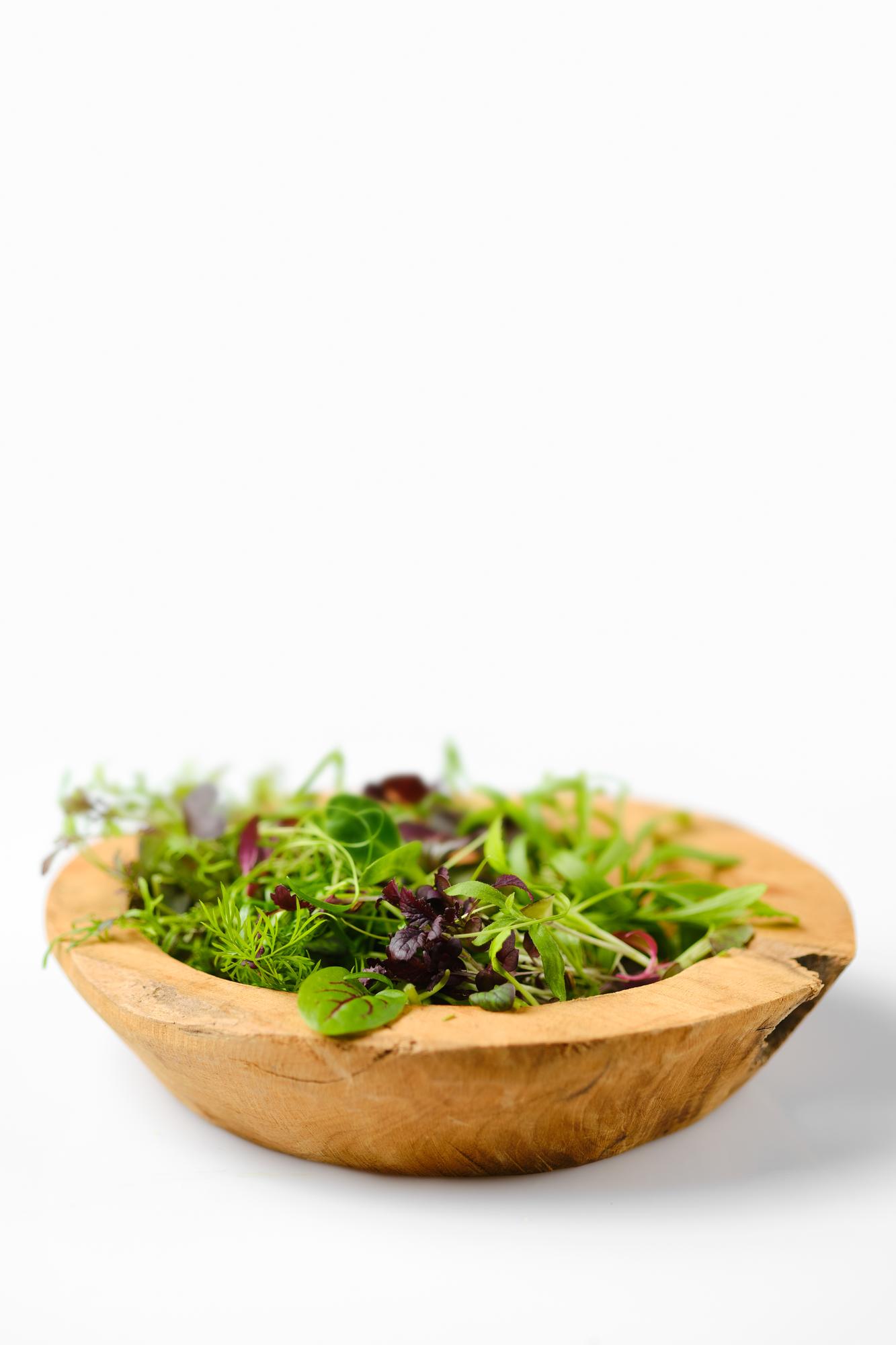 Close-up of plated seasonal salad with microgreens